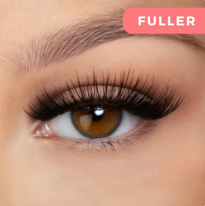 Magnetic Eyelash Kit